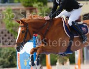 ADDIS ITACA MIA CampITA2013- S5 0939 : ADDIS PIERPAOLO, Campionati Italiani 2013, Cattolica, Horse Riviera Resort, ITACA MIA, foto di Stefano Secchi ©